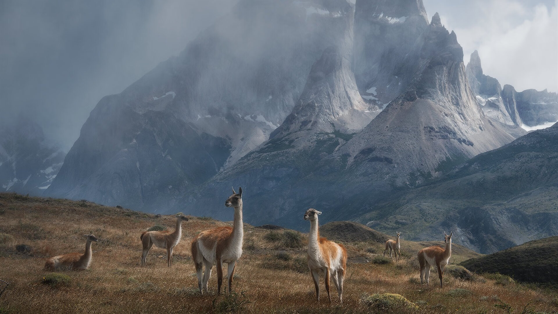 “意甲老牌强队奋勇追赶,比赛精彩纷呈”,意甲老大