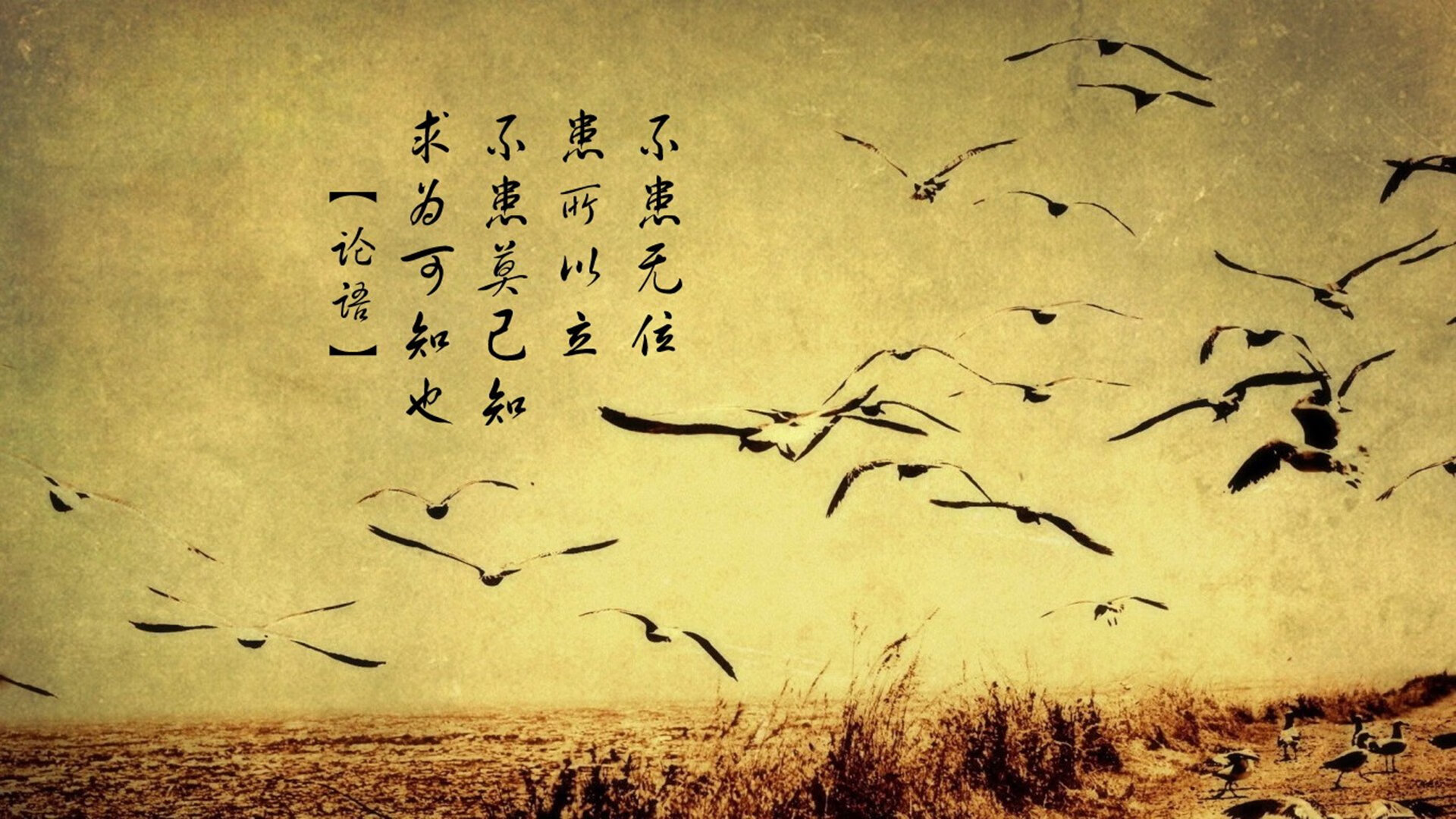 《《英雄联盟》寒假版本,强化新英雄“北风”技能平衡》,英雄联盟带风的装备