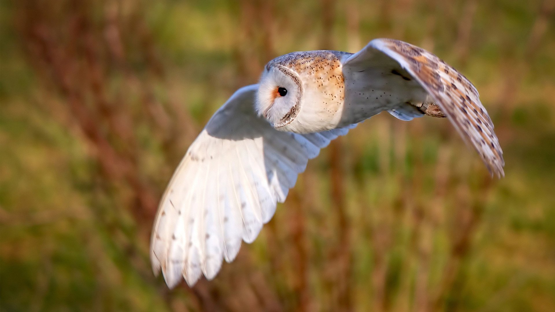 全国马拉松团队接力赛，合作赢得荣耀，2020马拉松接力赛