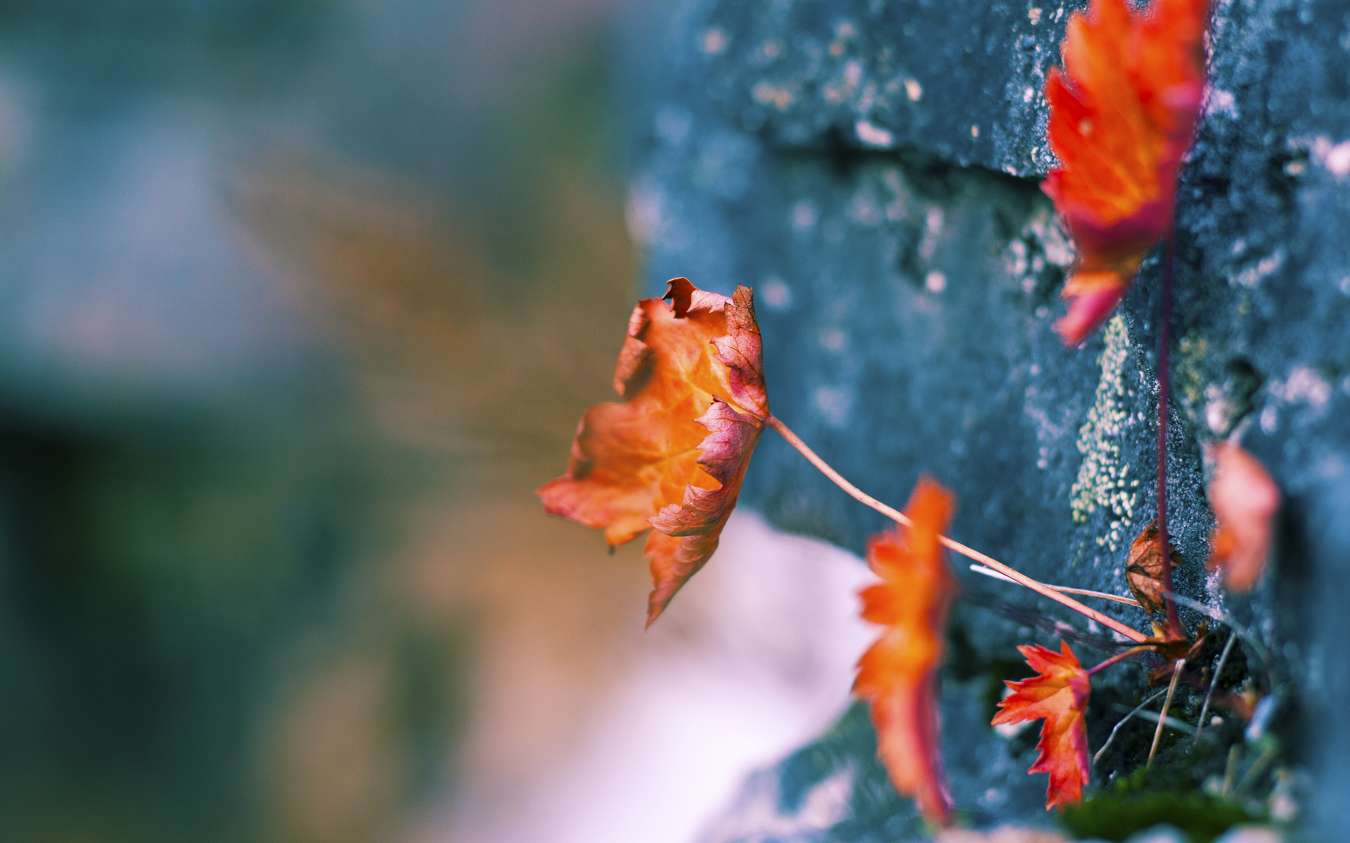 爱游戏登录入口-哥伦比亚女足在巴黎奥运会比赛中以2-0战胜西班牙，哥伦比亚男足首发