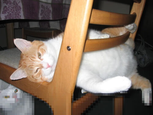 太阳大胜开拓者!,3月12日太阳vs开拓者