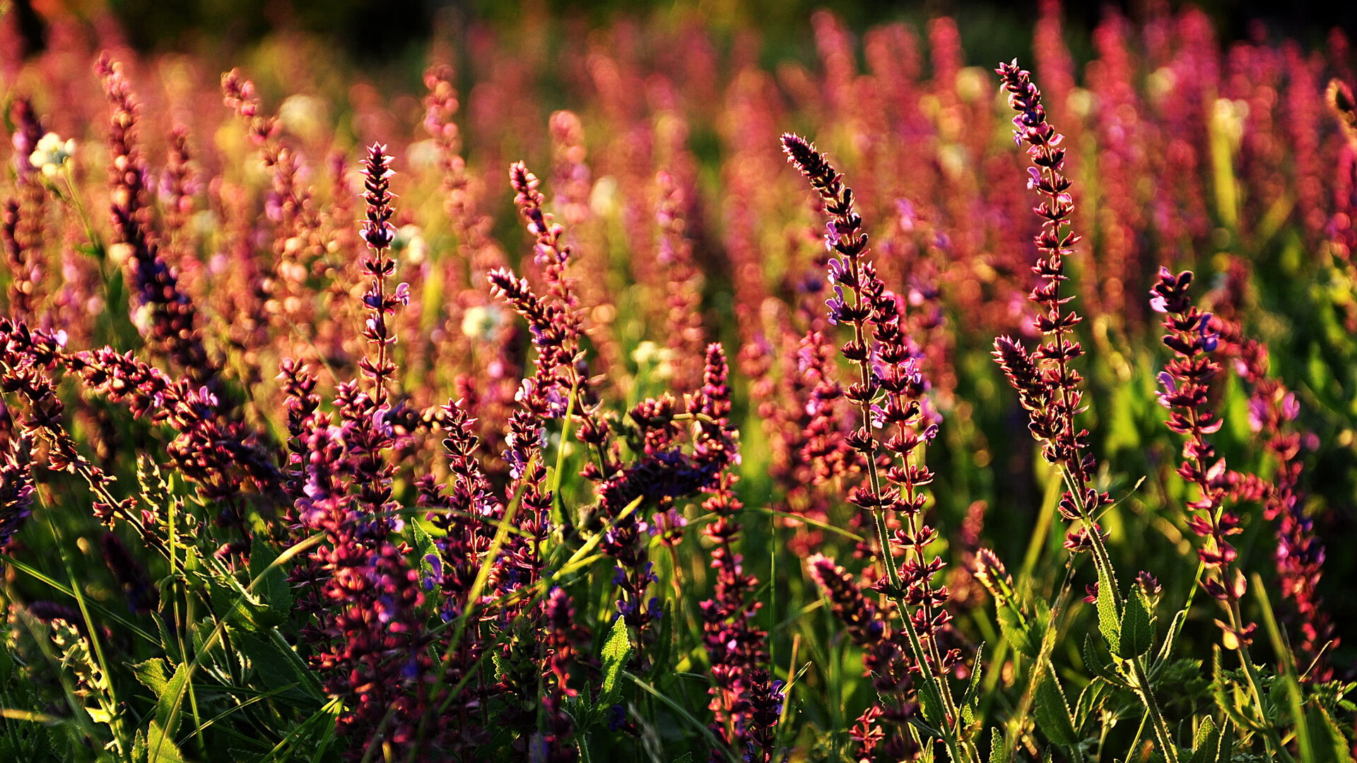 爱游戏体育APP下载-带你了解台球的起源与发展史，简述台球的发展历史