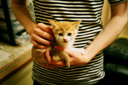 篮球赛事安全保障体系完善升级,篮球赛保障需要哪些东西