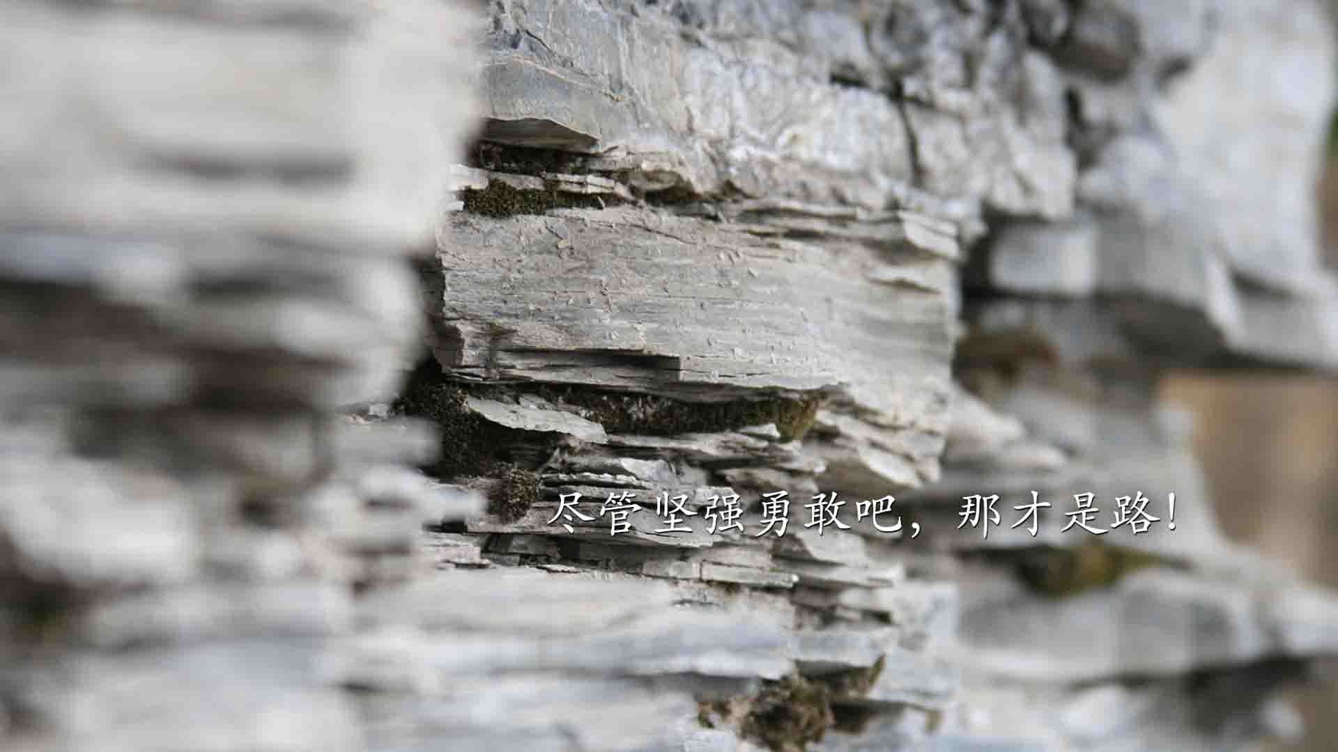 爱游戏中国官方网站平台-北京国安签下重要新援，北京国安引进的新外援的最新消息