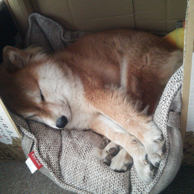 AYX SPORTS-同曦队年轻球员展现潜力，同曦队教练组都有谁