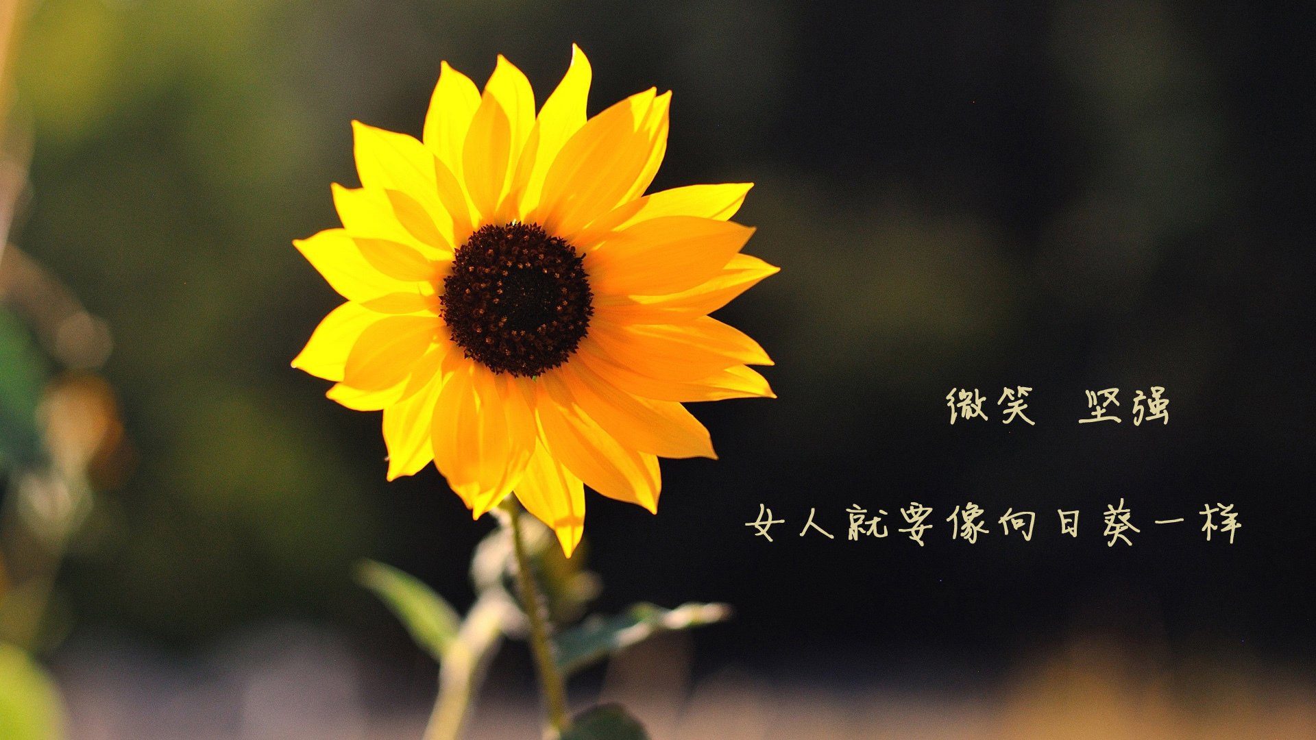 国足战术调整是否应考虑年轻球员特点,国足年轻队员