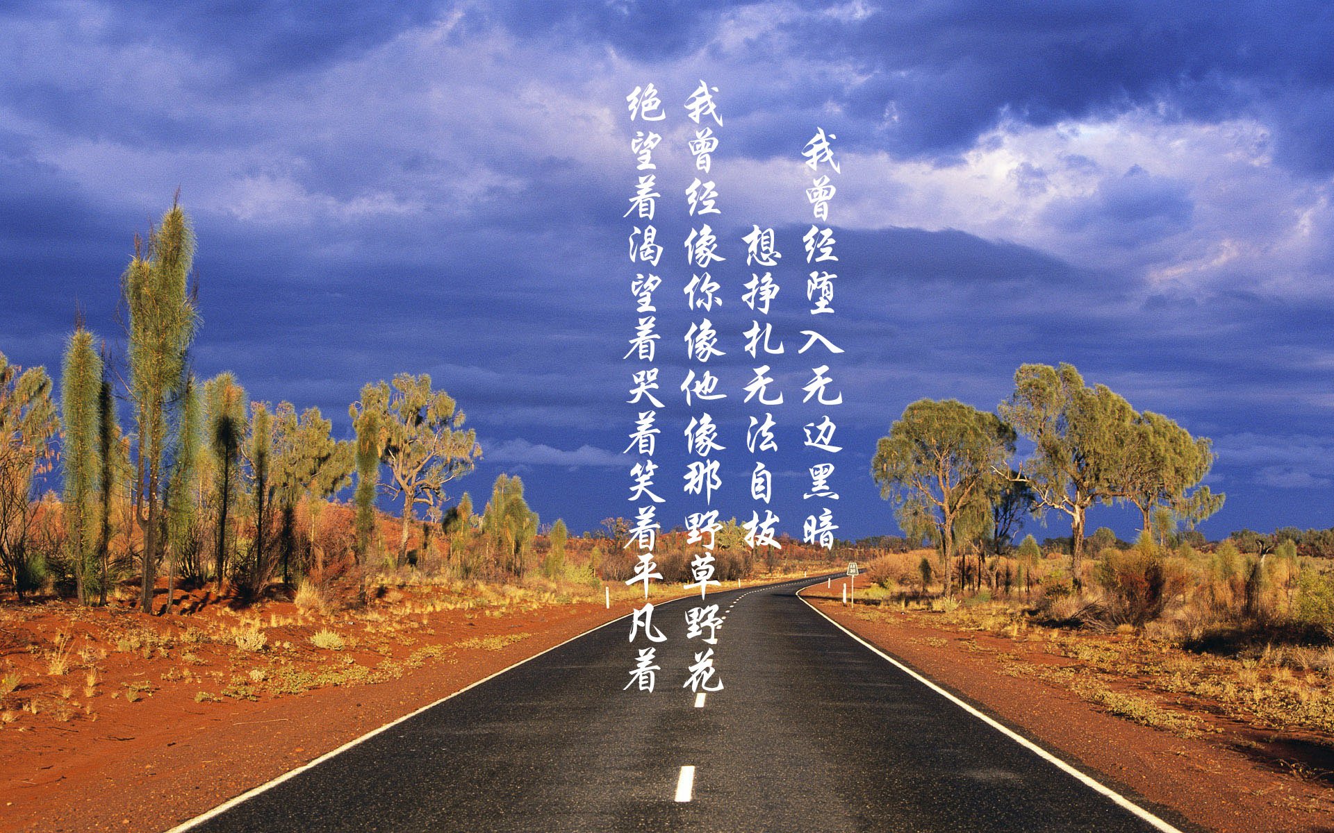 土耳其女足队员因病缺席，球队战斗力受影响！，土耳其足球名单