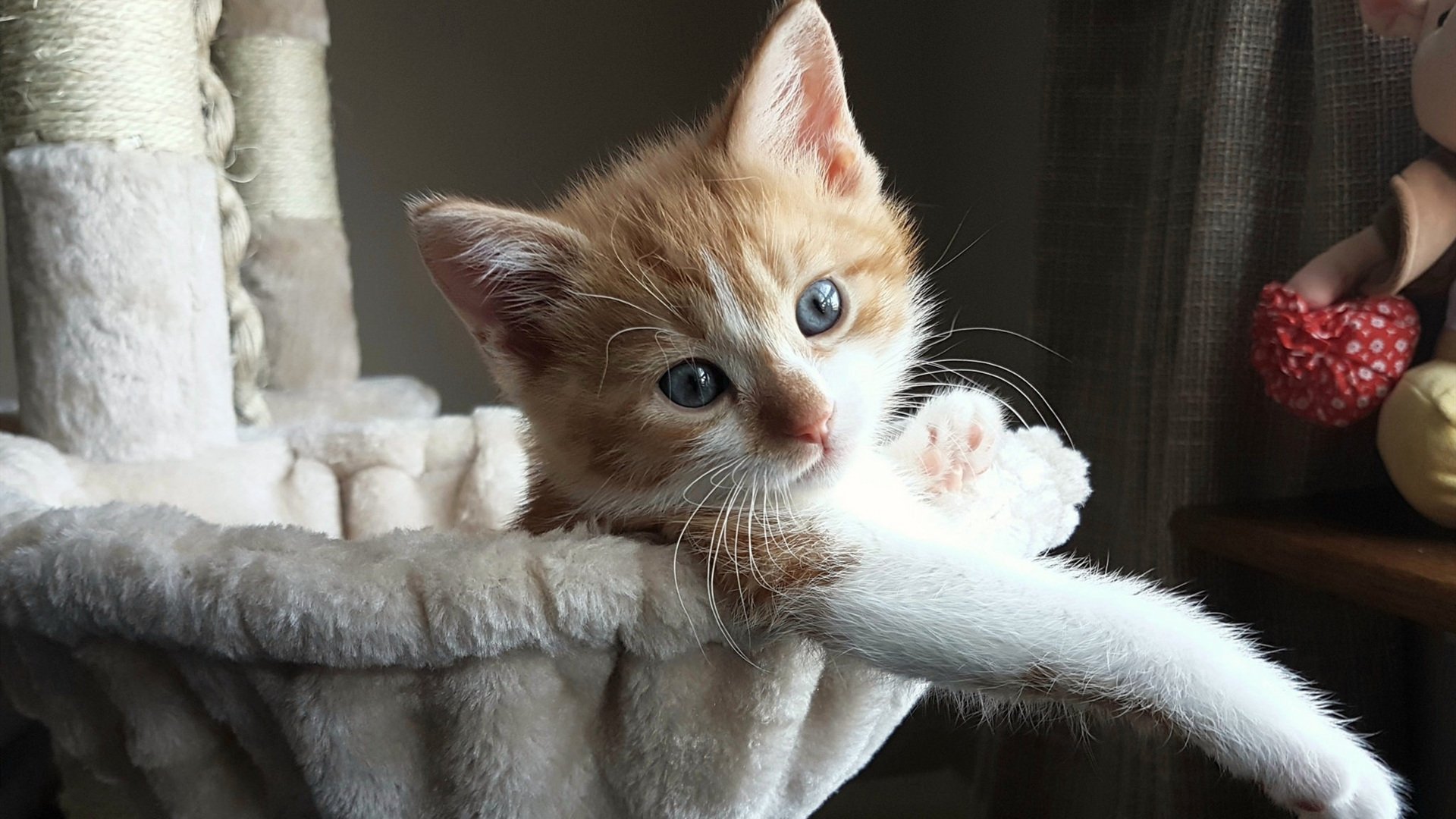 AYX GAMING-深圳瑜伽马拉松活动吸引大量参与者，2021瑜伽深圳展览