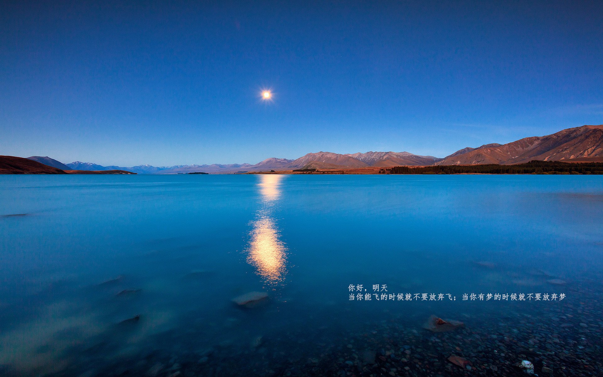 AYX GAME-球员背景故事是否能提升粉丝忠诚度，球员背影头像 高清