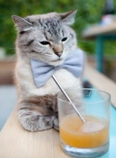 阿拉瓦客场爆冷击败对手,豪取三分,阿拉瓦克人是什么人种