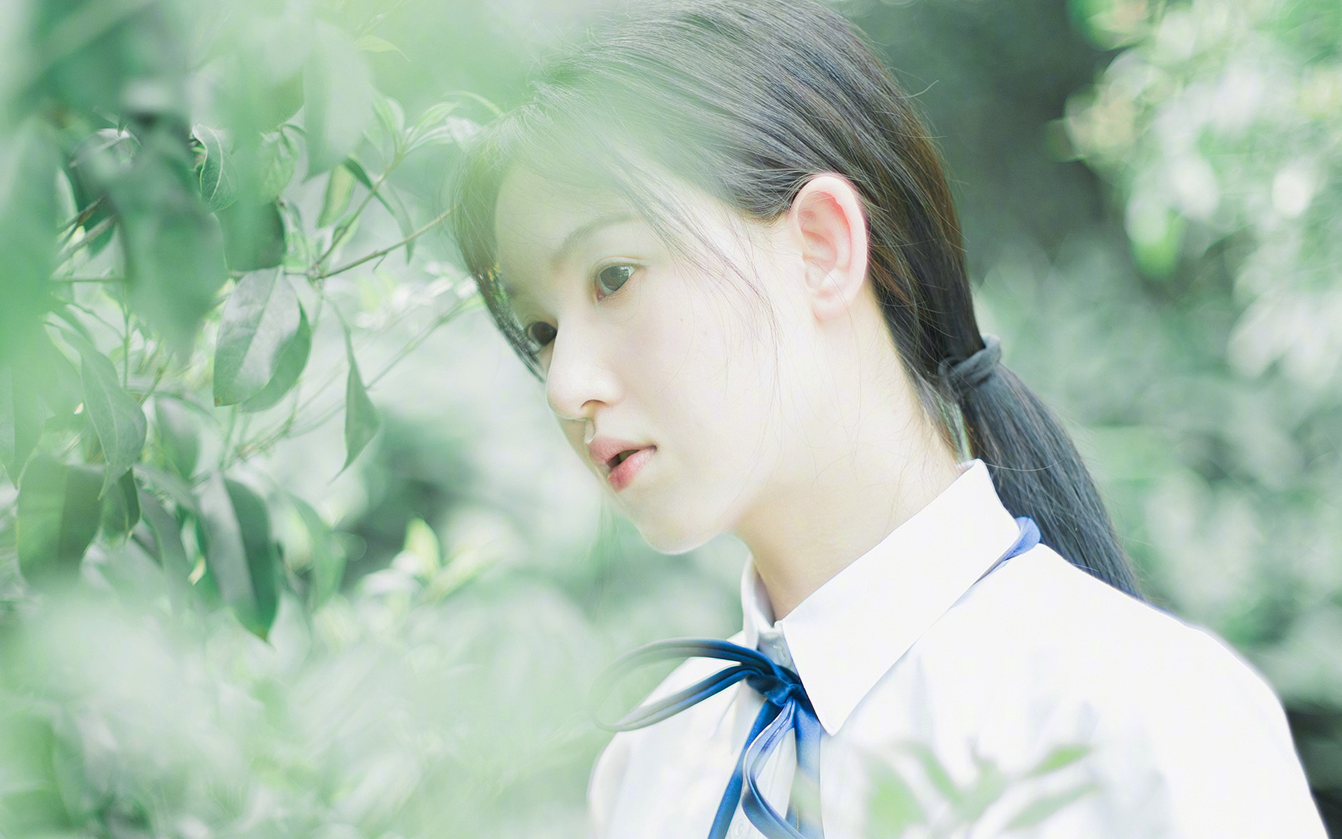 NBA球员赛季合同签订分析,nba球员赛季合同签订分析图