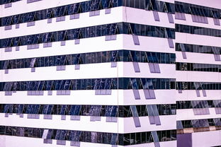 爱游戏体育（AYX）官方APP下载-体育新闻中心建设体育数字内容版权保护体系，体育数据新闻