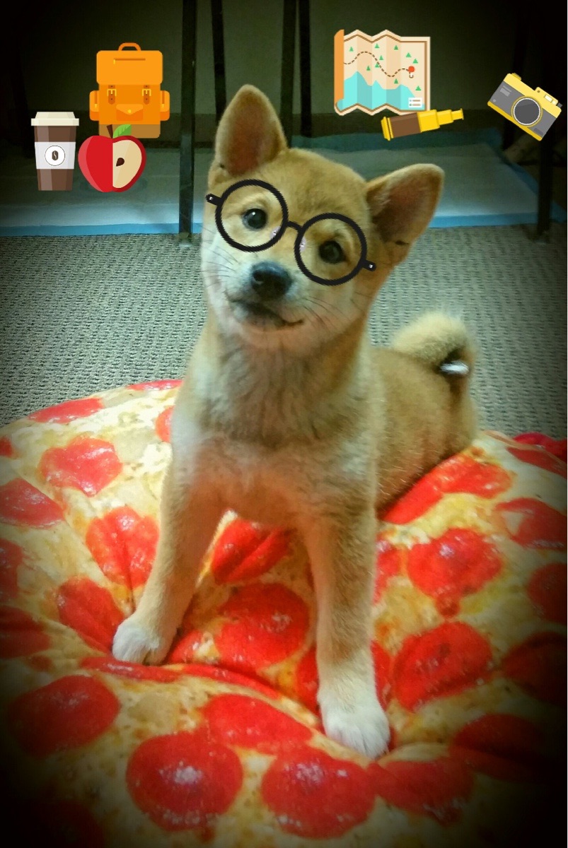 大数据应用助力训练科学管理,大数据在训练管理中的应用