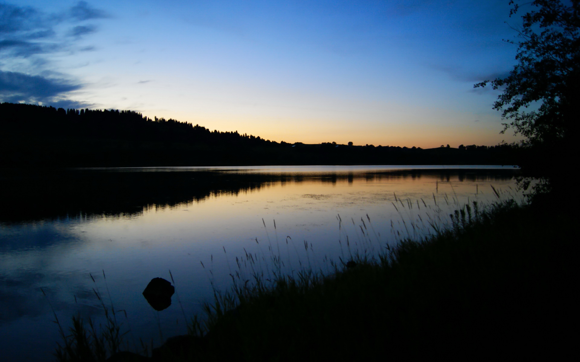 新疆男篮战术调整成效明显赢得球迷支持,新疆男篮队最新消息