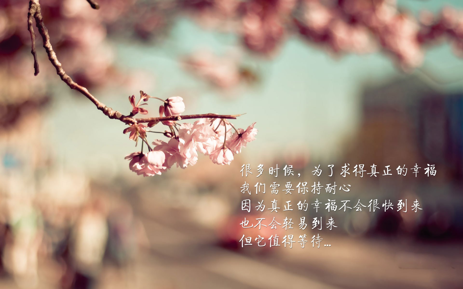 篮球联赛季后赛争夺战火热,篮球比赛季后赛