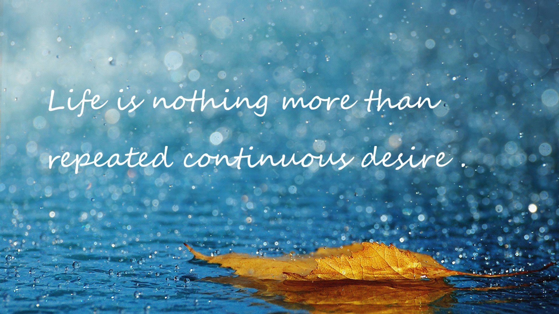 蝶泳滑行时间占比提高明显,蝶泳时间对照表