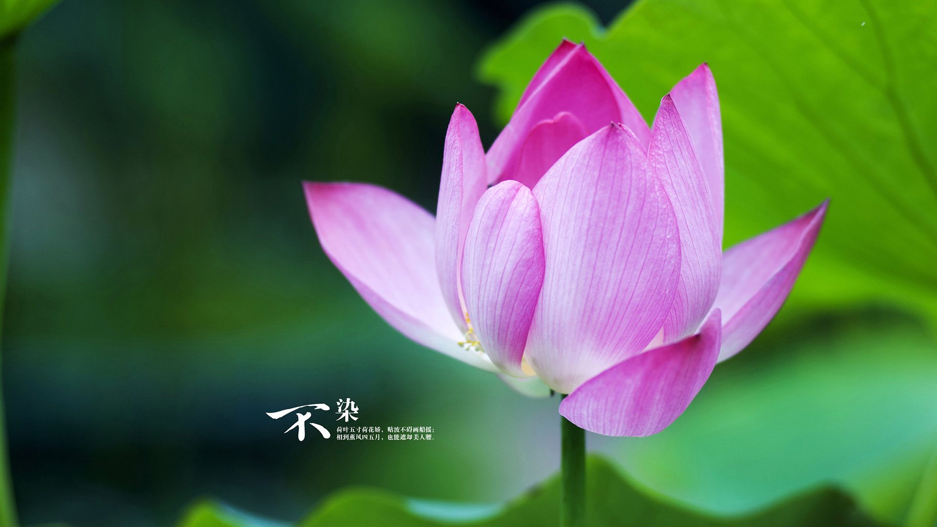 AYX体育官网-体育新闻中心通报全民健身路径设施监管试点情况，全民健身路径是什么意思