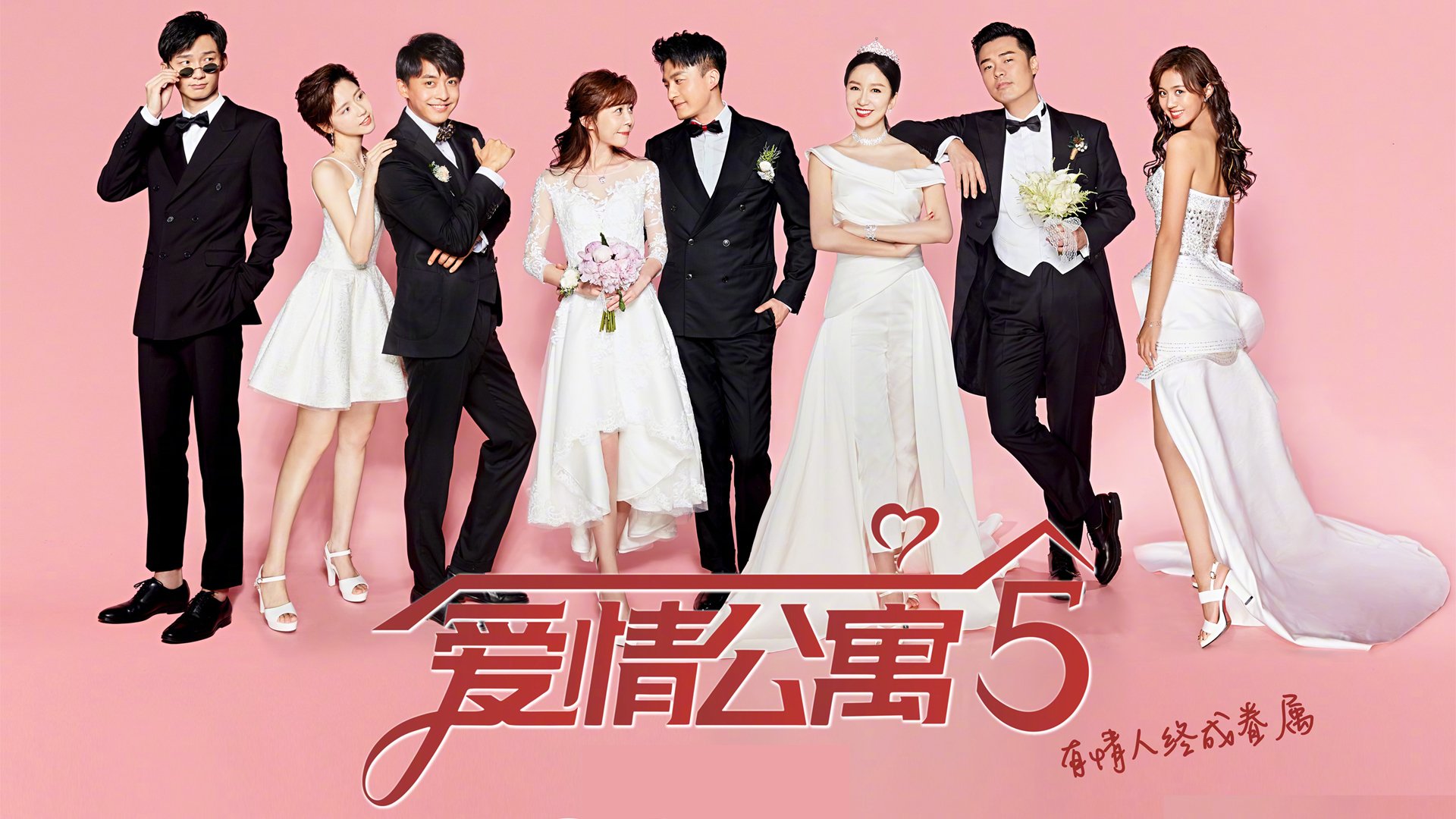 女子排球国家队新战术体系逐步成型,女子排球近况