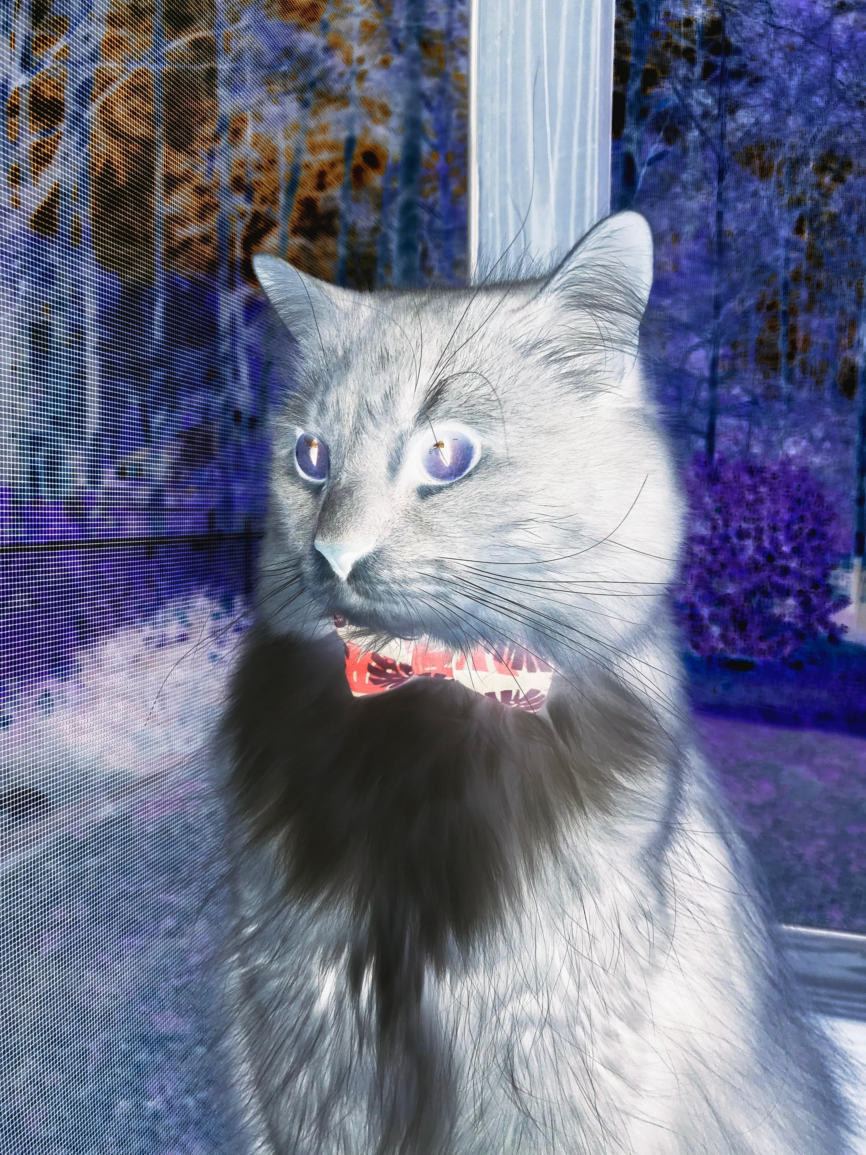 爱游戏平台-巴西队在南美预赛中占据榜首，提前晋级