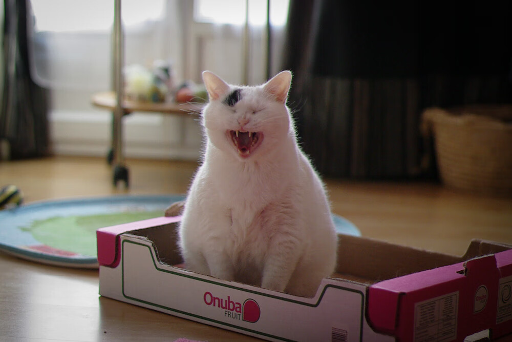 替补调度有效,多人轮换减少体能损耗,替补机制