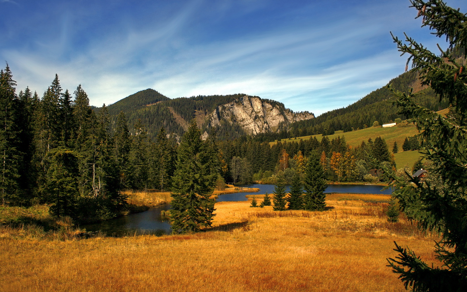 格鲁吉亚男篮在亚洲预赛中逆境奋战,期待突破