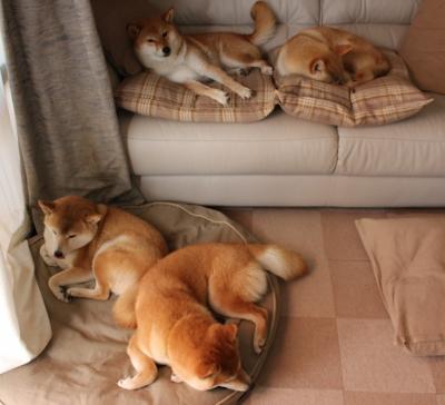 马拉维男篮在非洲锦标赛中刷新纪录,体育实力持续迈升,马拉维是非洲哪个国家城市