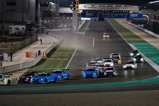 ayx爱游戏官网-世界雪车锦标赛中国选手跻身前八，世界雪车锦标赛用车多少钱